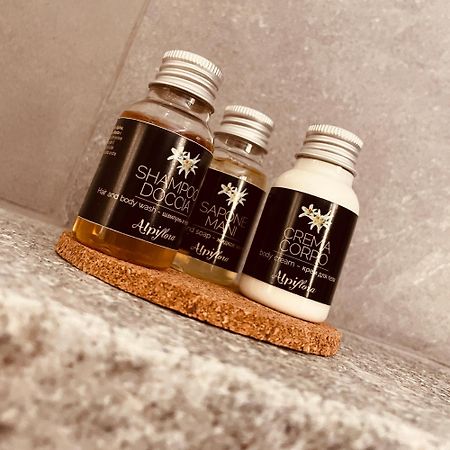 ポン・サン・マルテンAlpine Hutアパートメント エクステリア 写真